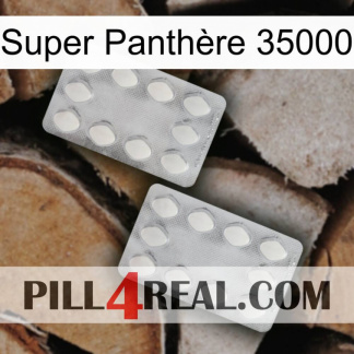 Super Panthère 35000 17